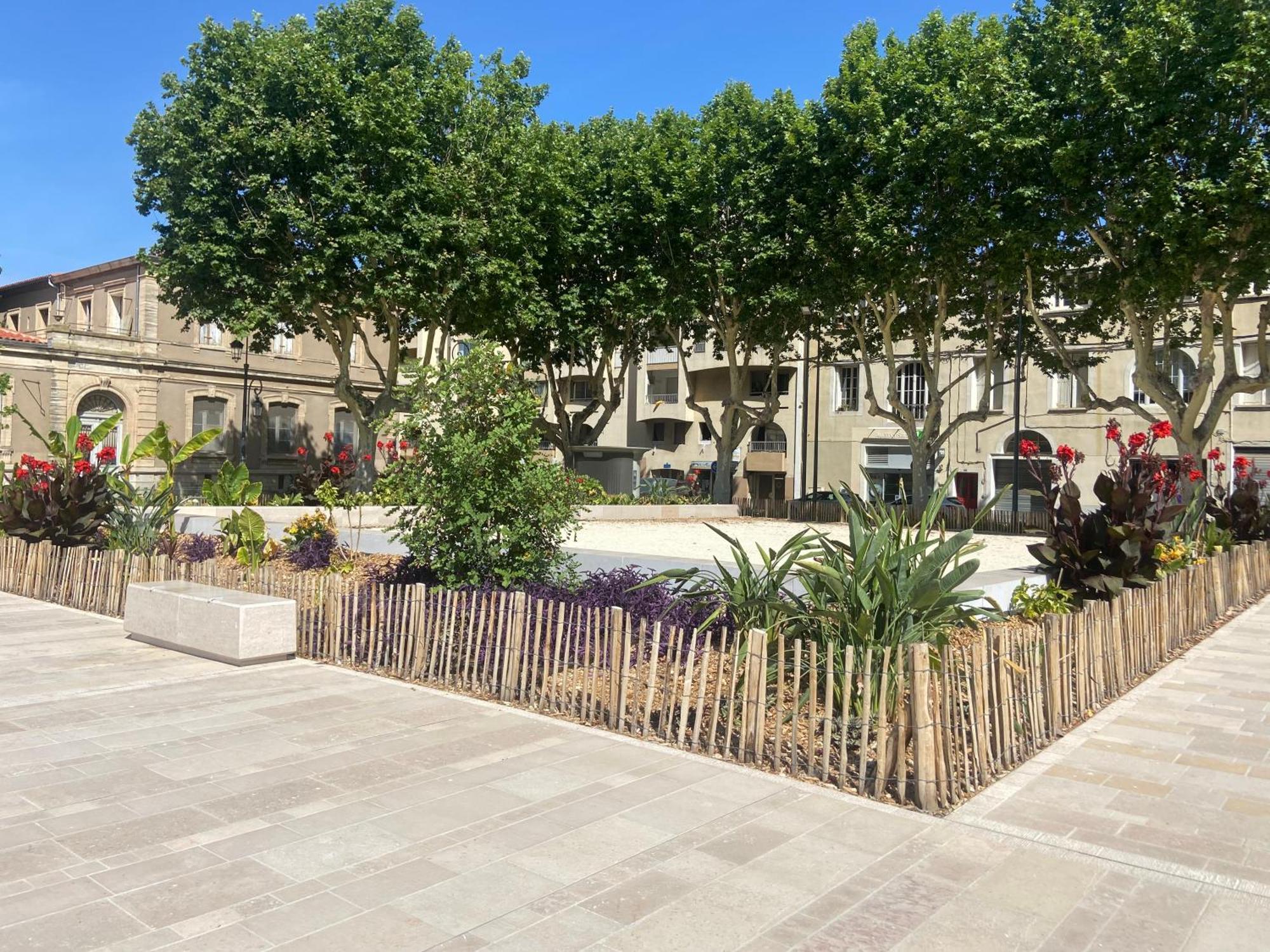 Charmant Appartement Central Terrasse Proche Gare Sète Eksteriør billede